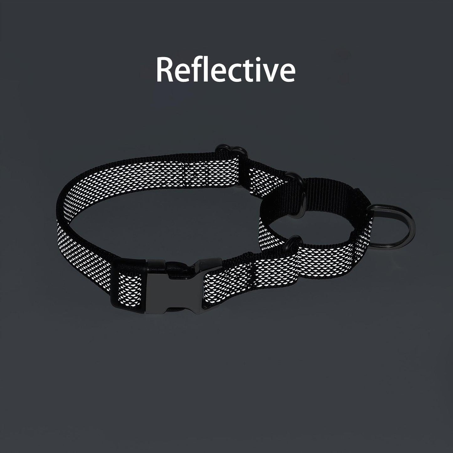 Personalized Dog Collar Adjustable Reflective Martingale Collars - iTalkPet