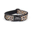 Personalized Pet Collars - Print Custom Dog Collar with Leash Set - iTalkPet