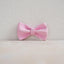 Pink Dandelion Personalized Dog Collar with Leas & Bow tie Set - iTalkPet