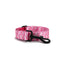 Pink Flaminges Personalized Dog Collar with Leas & Bow tie Set - iTalkPet