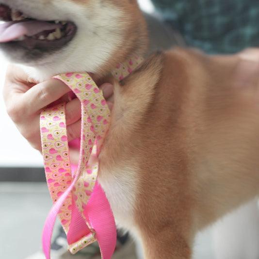 Pink Pear Personalized Dog Collar with Leas & Bow tie Set - iTalkPet