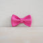 Pink Pear Personalized Dog Collar with Leas & Bow tie Set - iTalkPet