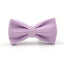 Pink Purple Stripe Velvet Personalized Dog Collar Leash Harness Bowtie Poop Bag Set - iTalkPet