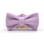 Pink Purple Stripe Velvet Personalized Dog Collar Leash Harness Bowtie Poop Bag Set - iTalkPet