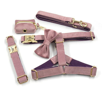 Pink Purple Velvet Personalized Dog Collar Leash Harness Bowtie Poop Bag Set - iTalkPet