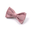 Pink Purple Velvet Personalized Dog Collar Leash Harness Bowtie Poop Bag Set - iTalkPet