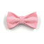 Pink Stripe Velvet Personalized Dog Collar Leash Harness Bowtie Poop Bag Set - iTalkPet