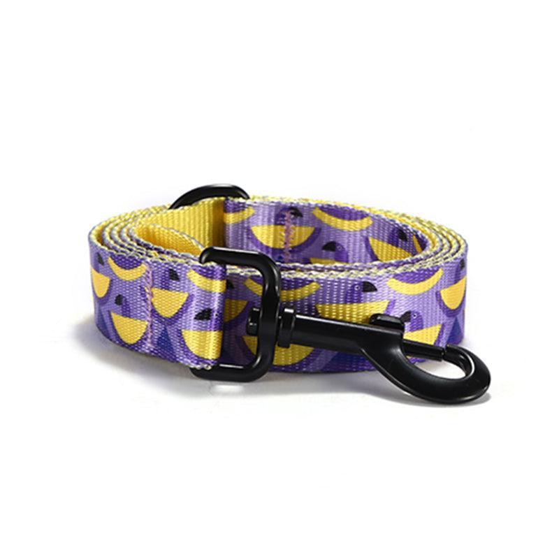 Pocket Parrot Personalized Dog Collar with Leas & Bow tie Set - iTalkPet