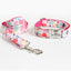 Print Personalized Dog Collars with Leash Set - iTalkPet