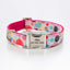 Print Personalized Dog Collars with Leash Set - iTalkPet