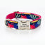 Print Personalized Dog Collars with Leash Set - iTalkPet