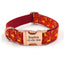 Print Personalized Pet Collars - Custom Dog Collar with Leash Set - iTalkPet