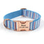 Print Personalized Pet Collars - Custom Dog Collar with Leash Set - iTalkPet