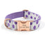 Print Personalized Pet Collars - Custom Dog Collar with Leash Set - iTalkPet