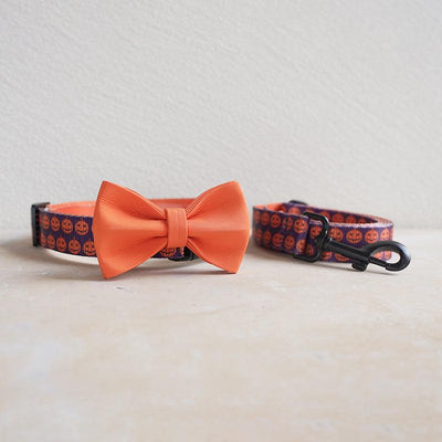 Purple Pumpkin Personalized Dog Collar with Leas & Bow tie Set - iTalkPet