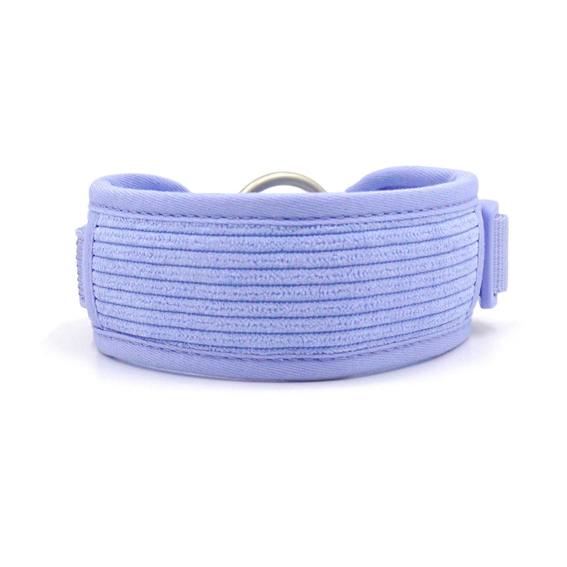 Purple Striped Solid Personalized Dog Collar - iTalkPet