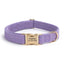 Metal Buckle Soft Flannel Pet Engraved Collar - Custom Dog Collar