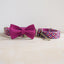 Rainbow Personalized Dog Collar with Leas & Bow tie Set - iTalkPet