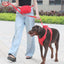 Red Striped Solid Personalized Dog Collar - iTalkPet