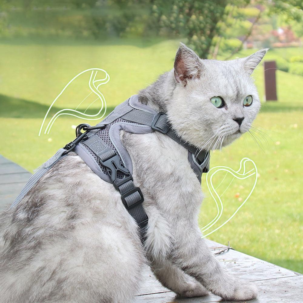 Reflective Adjustable Cat Harness Vest with Leash - iTalkPet