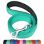 Reflective Dog Leash with Soft Padded Handle - iTalkPet