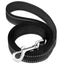 Reflective Dog Leash with Soft Padded Handle - iTalkPet