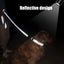 Reflective Dog Leash with Soft Padded Handle - iTalkPet