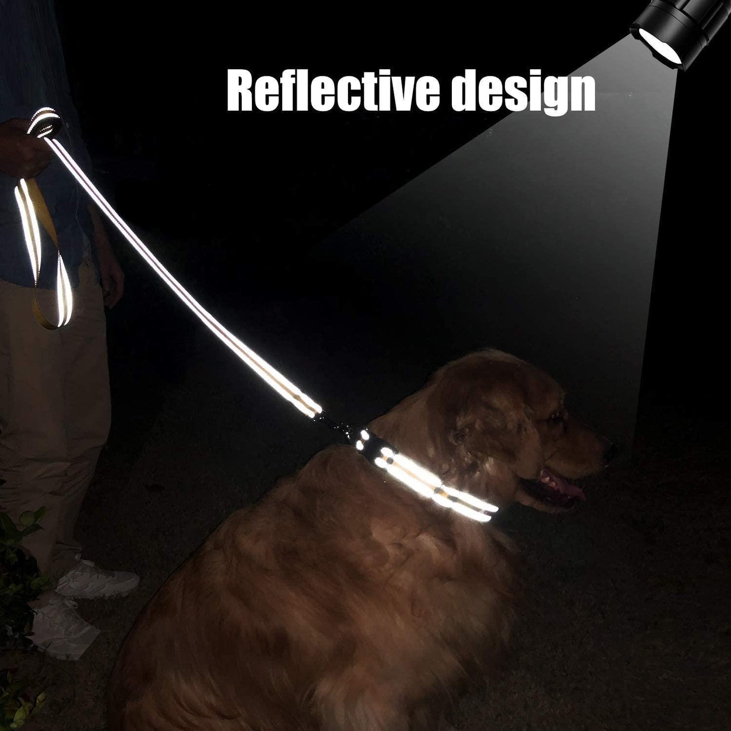Reflective Dog Leash with Soft Padded Handle - iTalkPet