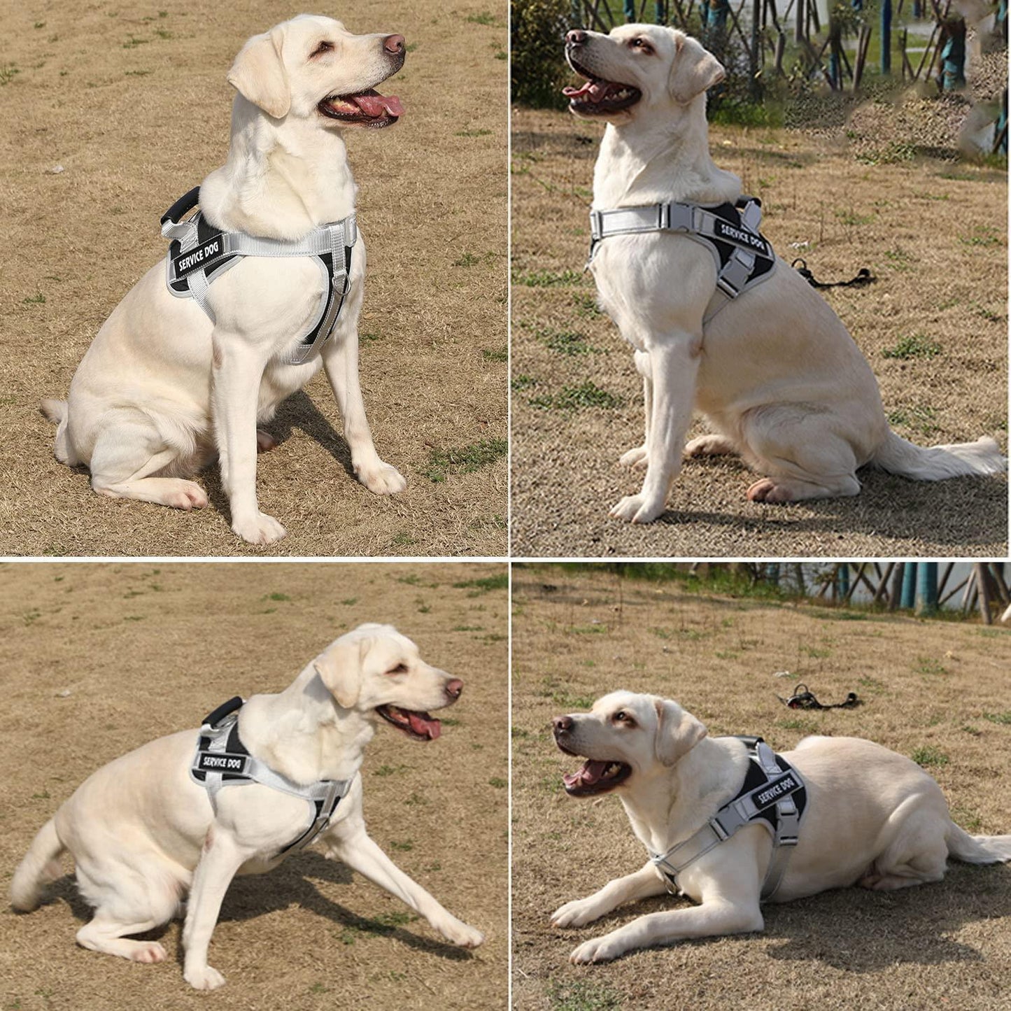 Reflective Nylon Adjustable Custom Dog Harness Vest NO PULL with 5Ft Leash Set - iTalkPet