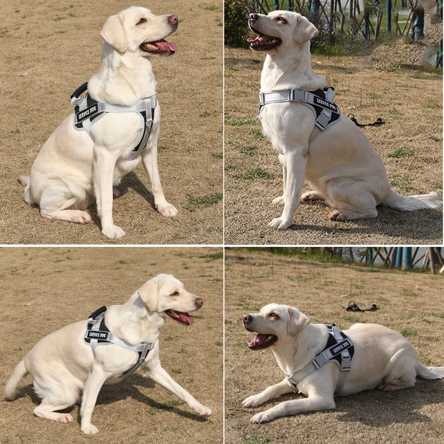 Reflective Nylon Adjustable Dog Harness Vest NO PULL - iTalkPet