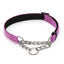 Reflective Nylon Soft Padded Martingale Dog Collar - iTalkPet