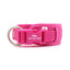 Rose Striped Solid Personalized Dog Collar - iTalkPet