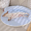 Round Pet Cool Mat Summer Cool Dog Bed - iTalkPet