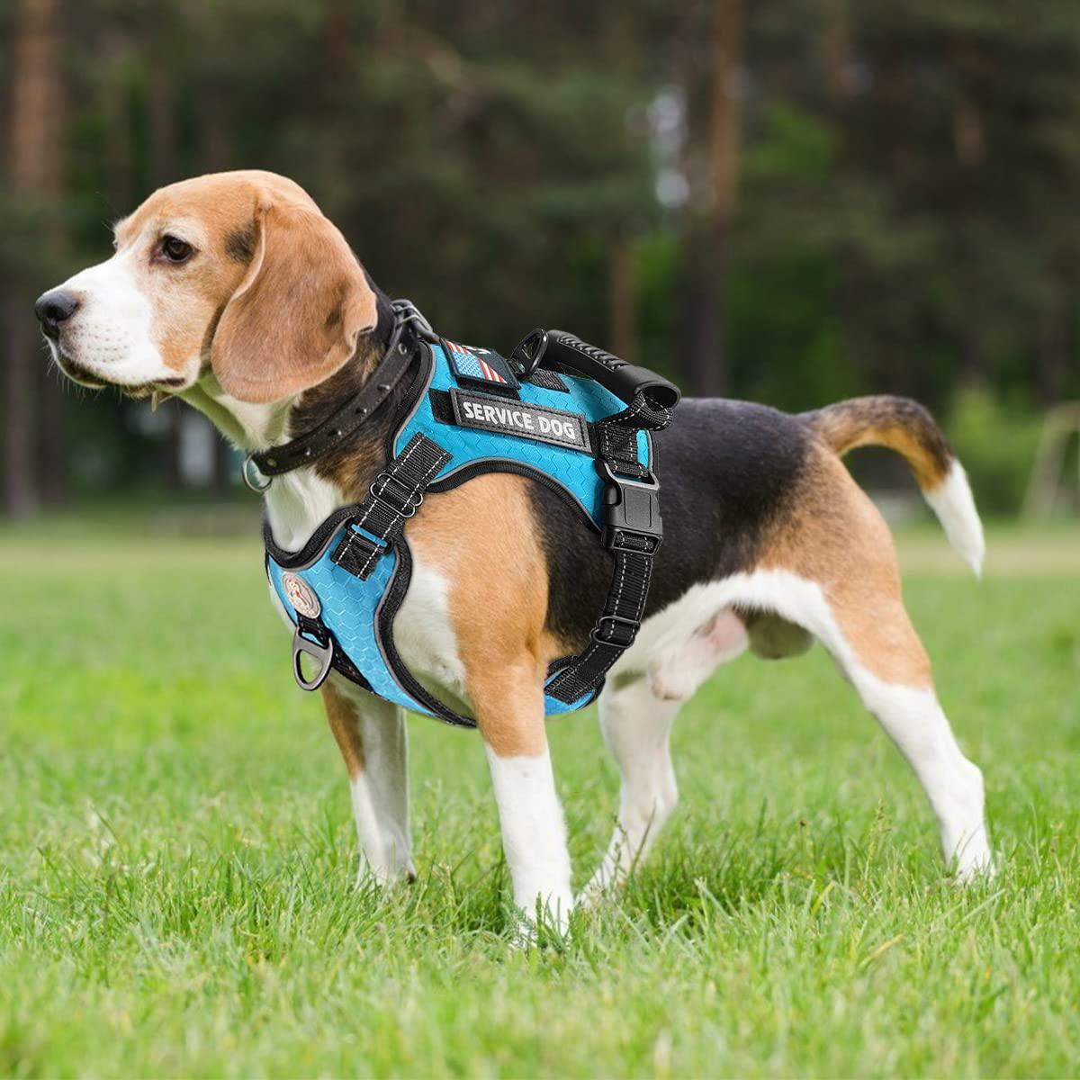 No-Pull Reflective Custom Adjustable Soft Oxford Dog Vest Harness with Dog Leash - iTalkPet