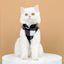 Soft Fleece Vest Dog Sweater - Warm Pullover Fleece Dog Jacket - iTalkPet