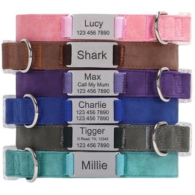 Soft Leather Transparent Buckle Custom Engraving Dog Collar - iTalkPet