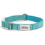 Soft Leather Transparent Buckle Custom Engraving Dog Collar - iTalkPet