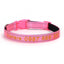 Soft Padded Reflective Personalized Dog Collar - Nylon Embroidered Pet Collar - iTalkPet