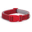 Soft Reflective Adjustable Dog Collar with Colorful Buckle - iTalkPet