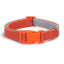 Soft Reflective Adjustable Dog Collar with Colorful Buckle - iTalkPet