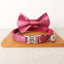 Solid Color Adjustable Personalized Kitten Collar With Bell - iTalkPet