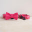 Strawberry Personalized Dog Collar with Leas & Bow tie Set - iTalkPet