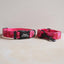 Strawberry Personalized Dog Collar with Leas & Bow tie Set - iTalkPet