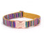 Stripe Modern Adjustable Personalize Dog Collar - iTalkPet