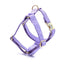 Stripe Velvet Personalized Dog Harness - iTalkPet