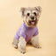 Summer Dog T-Shirt Pet Clothes Casual Polyester Pullover - iTalkPet