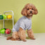 Summer Dog T-Shirt Pet Clothes Casual Polyester Pullover - iTalkPet