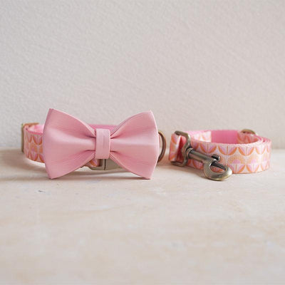 Sunrise Flower Personalized Dog Collar with Leas & Bow tie Set - iTalkPet