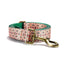 Tan Glaze Personalized Dog Collar with Leas & Bow tie Set - iTalkPet