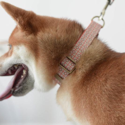 Tan Glaze Personalized Dog Collar with Leas & Bow tie Set - iTalkPet